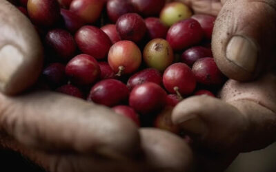 The early days of coffee
